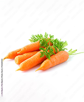 Caroot-Orange